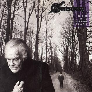 Pochette de Into the Mirror Black