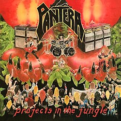 Pochette de Projects in the Jungle